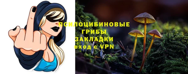 гидра Балахна